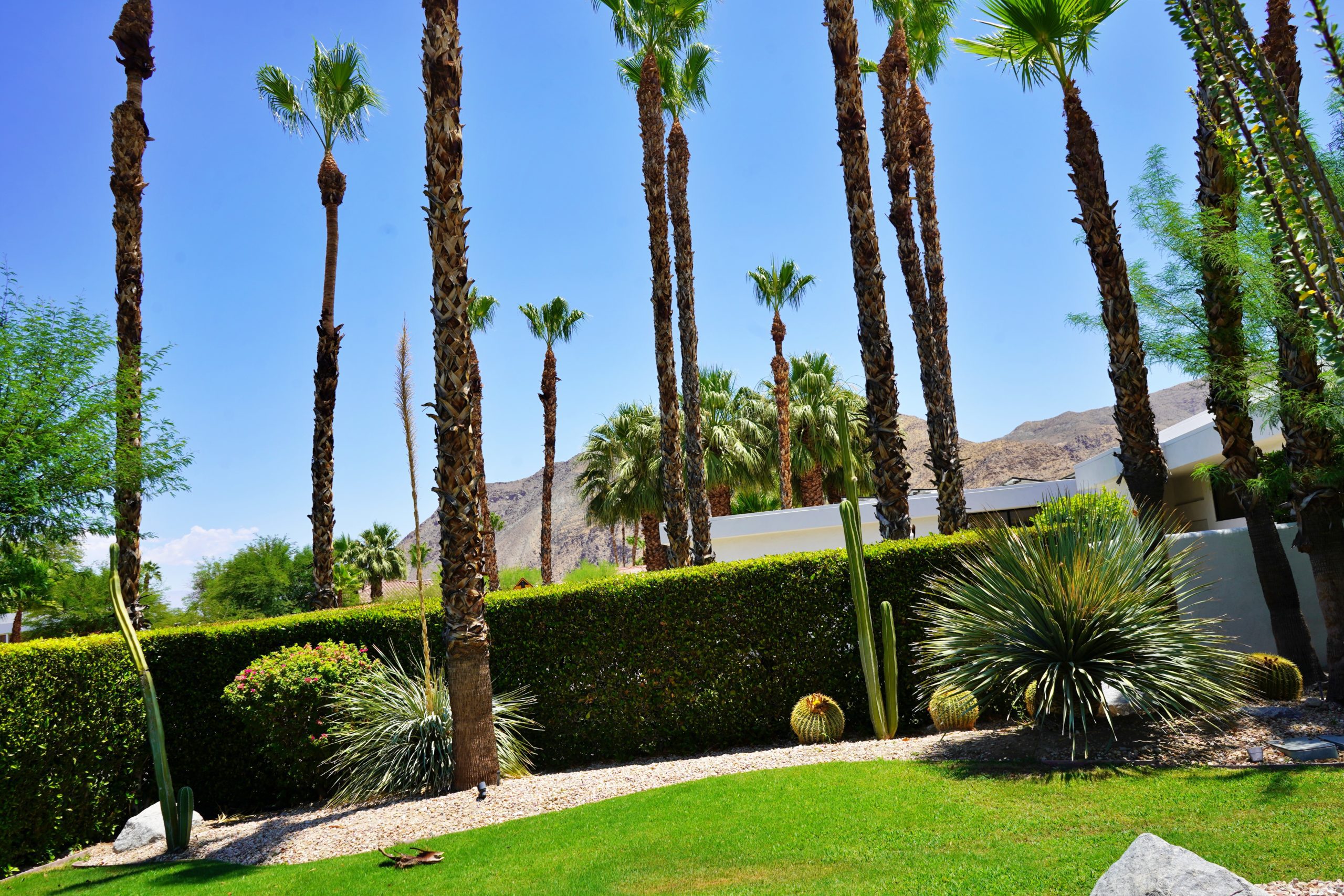 Palm Springs Travel Makeup and Skincare