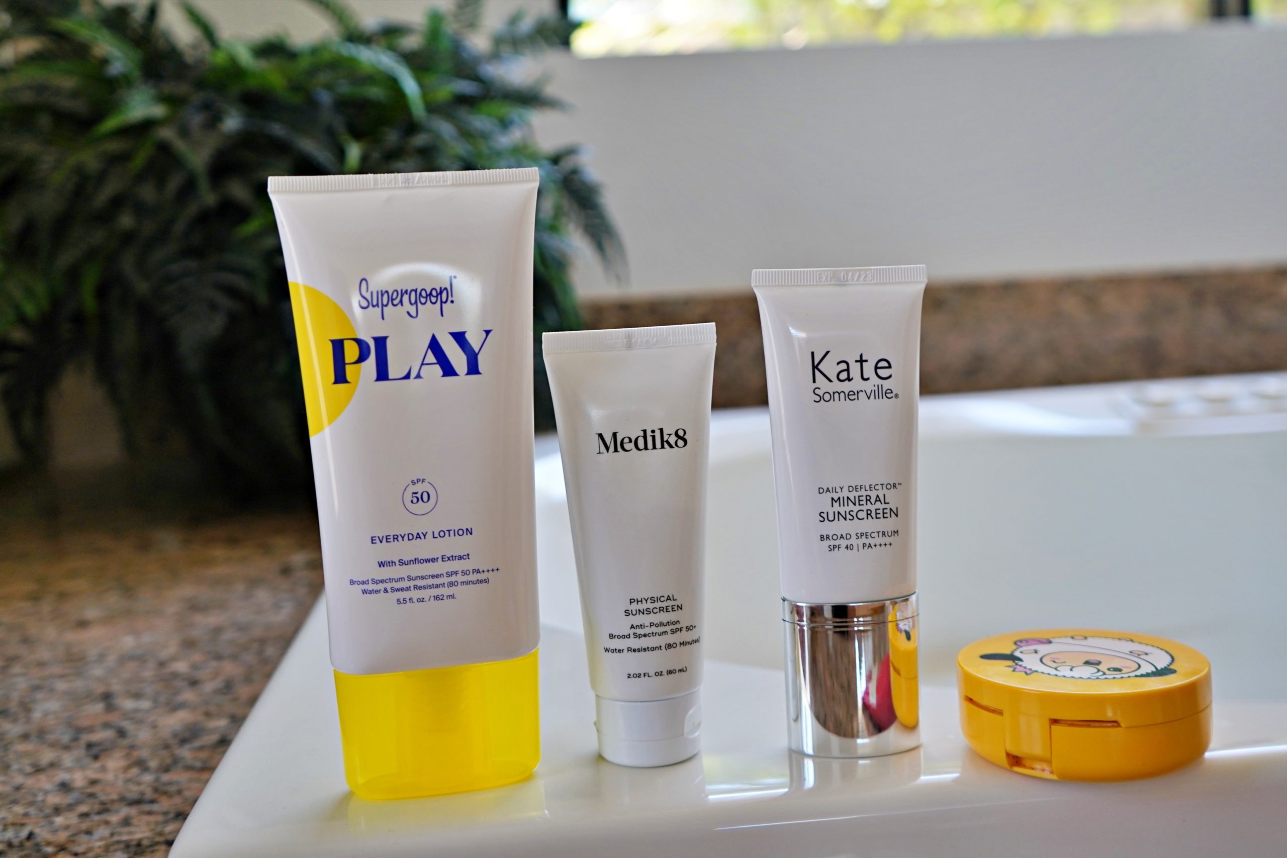 Palm Springs Travel Makeup and Skincare